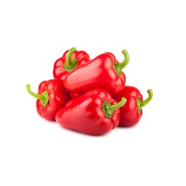 VASUDHA Shimla Mirch/Capsicum/Bell Pepper Seed